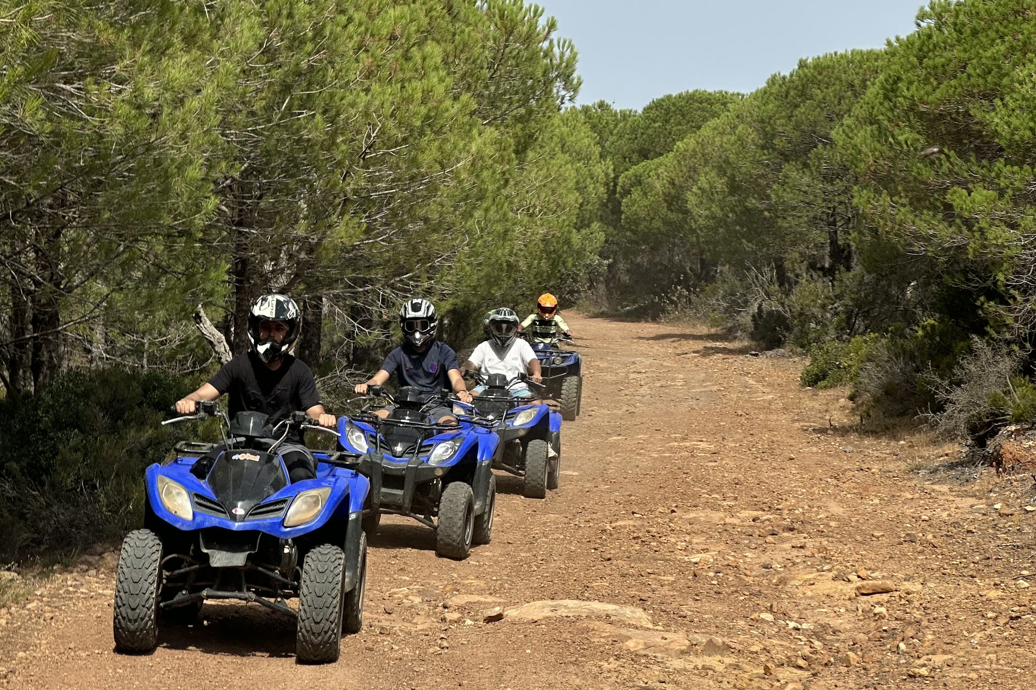 Convoi dans la forêt